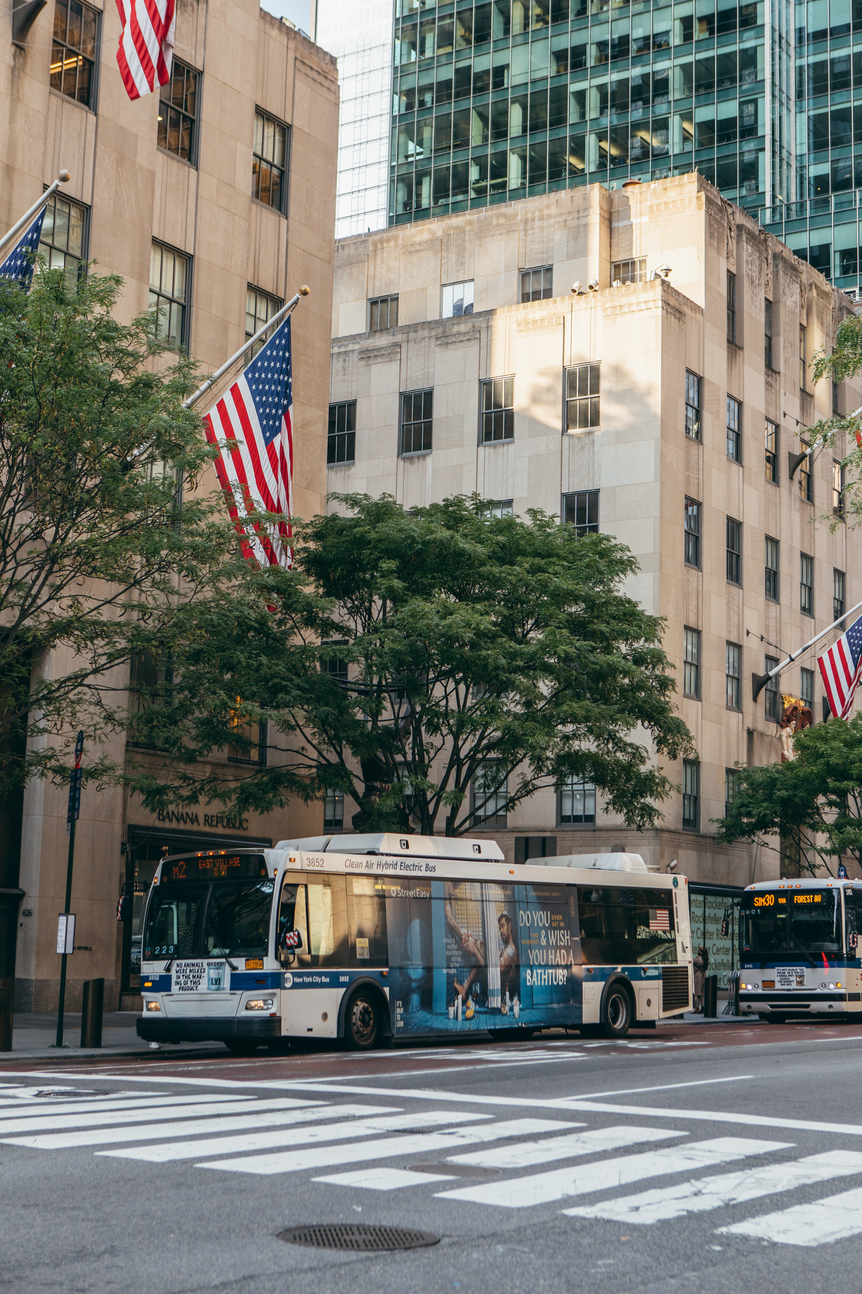 Buses at Rock Center