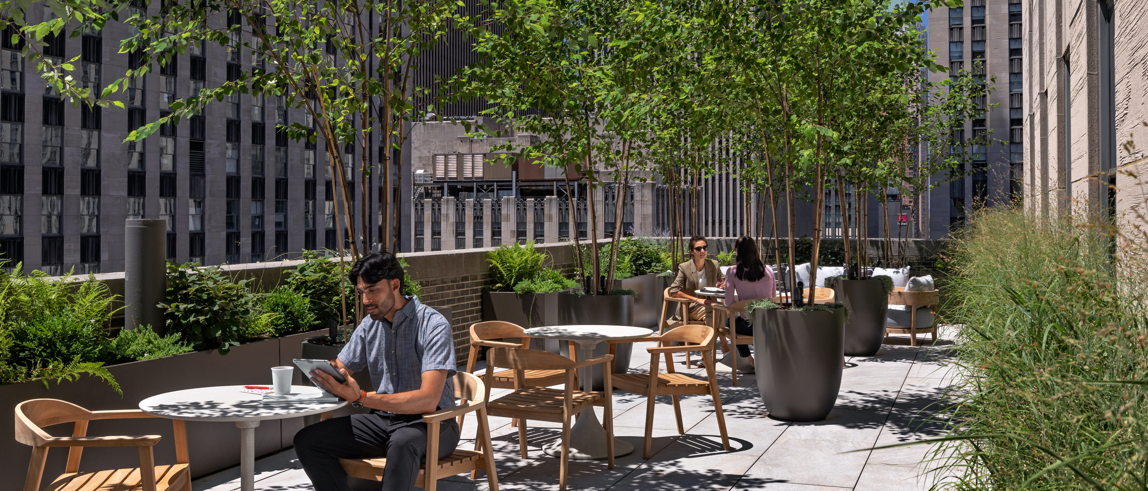 People sitting outside at tables on a sunny patio surrounded by plants.